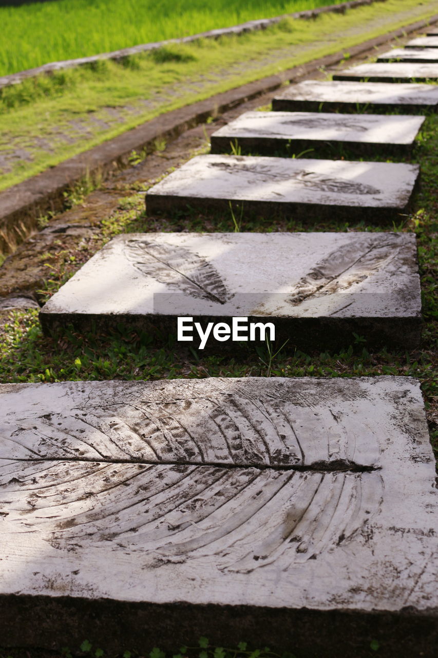 CLOSE-UP OF GRASS WITH WATER