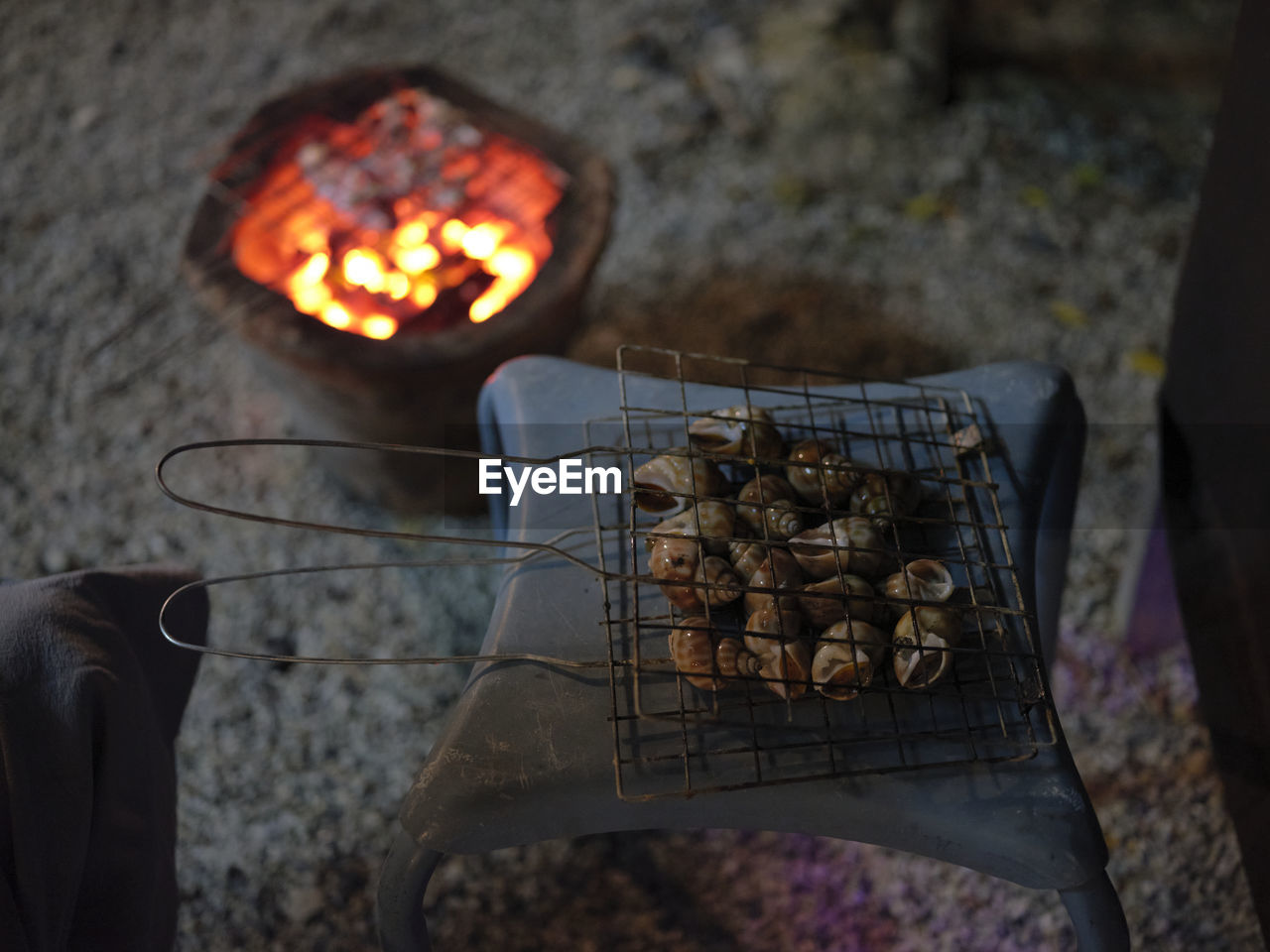 Sweet clams grilled in steel grate with a charcoal grill.