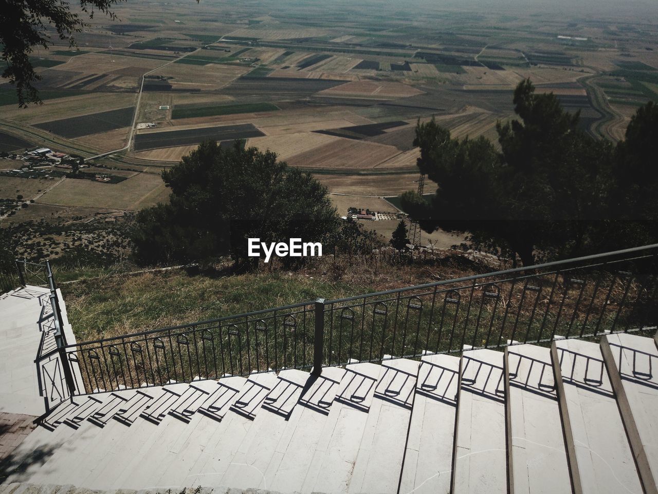 HIGH ANGLE VIEW OF FOOTPATH BY TREES