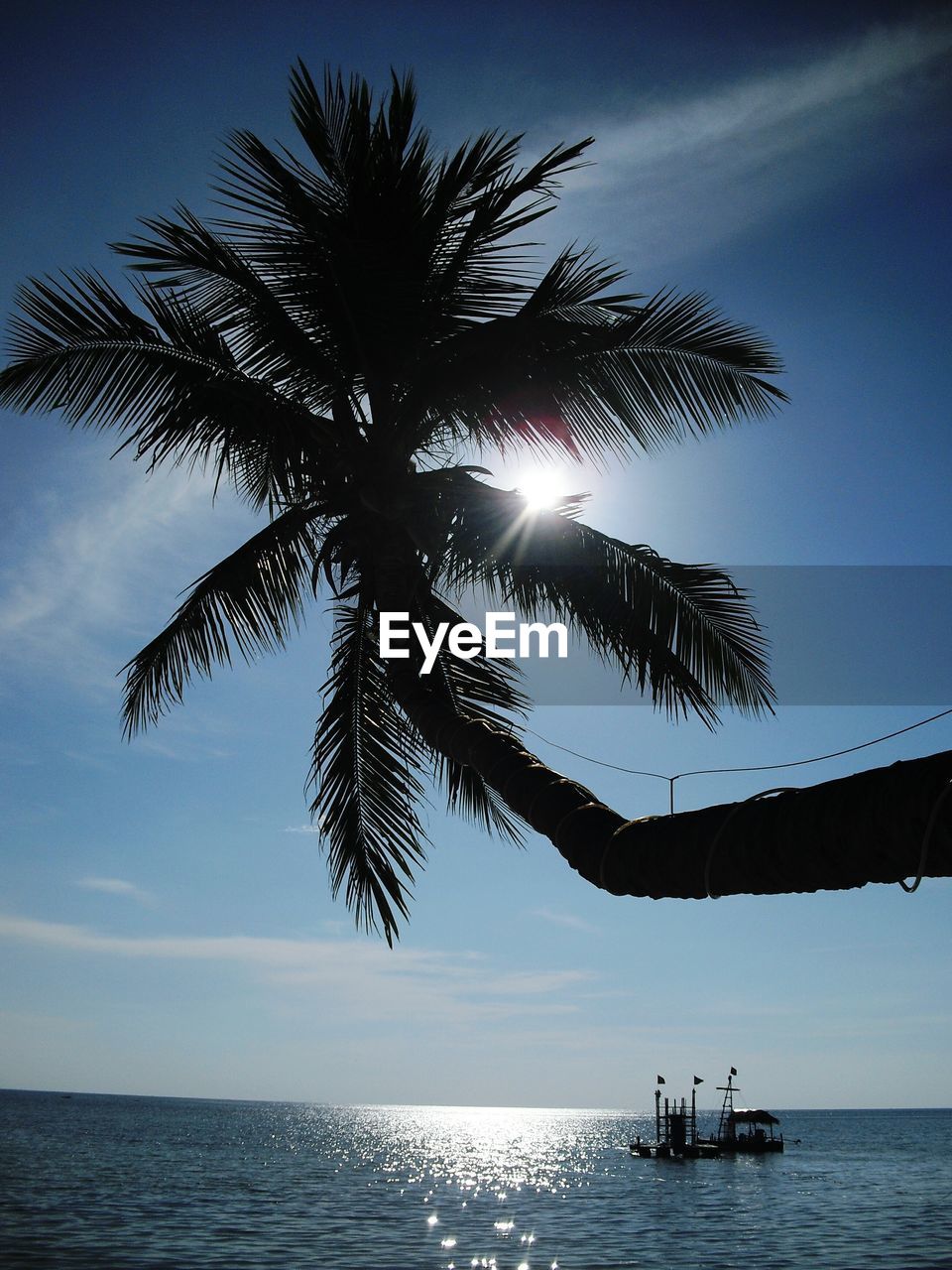 Palm tree over sea against sky