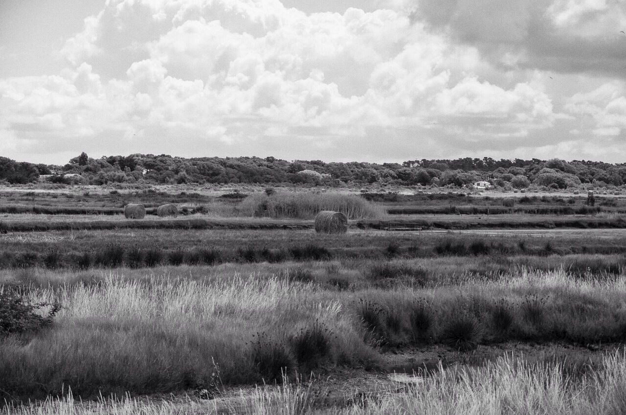 Hay bales in fields against clouds