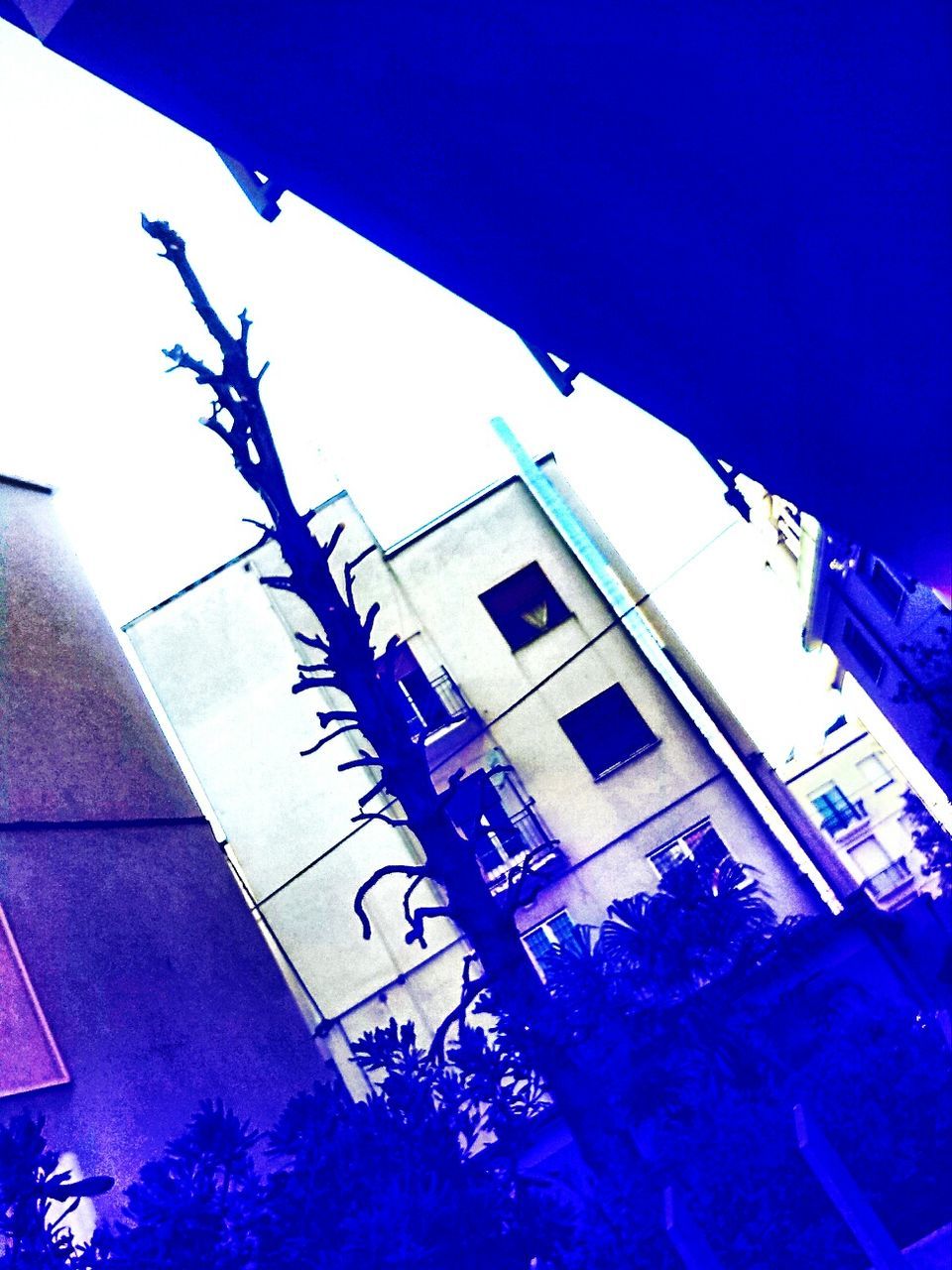 LOW ANGLE VIEW OF BUILDINGS AGAINST BLUE SKY