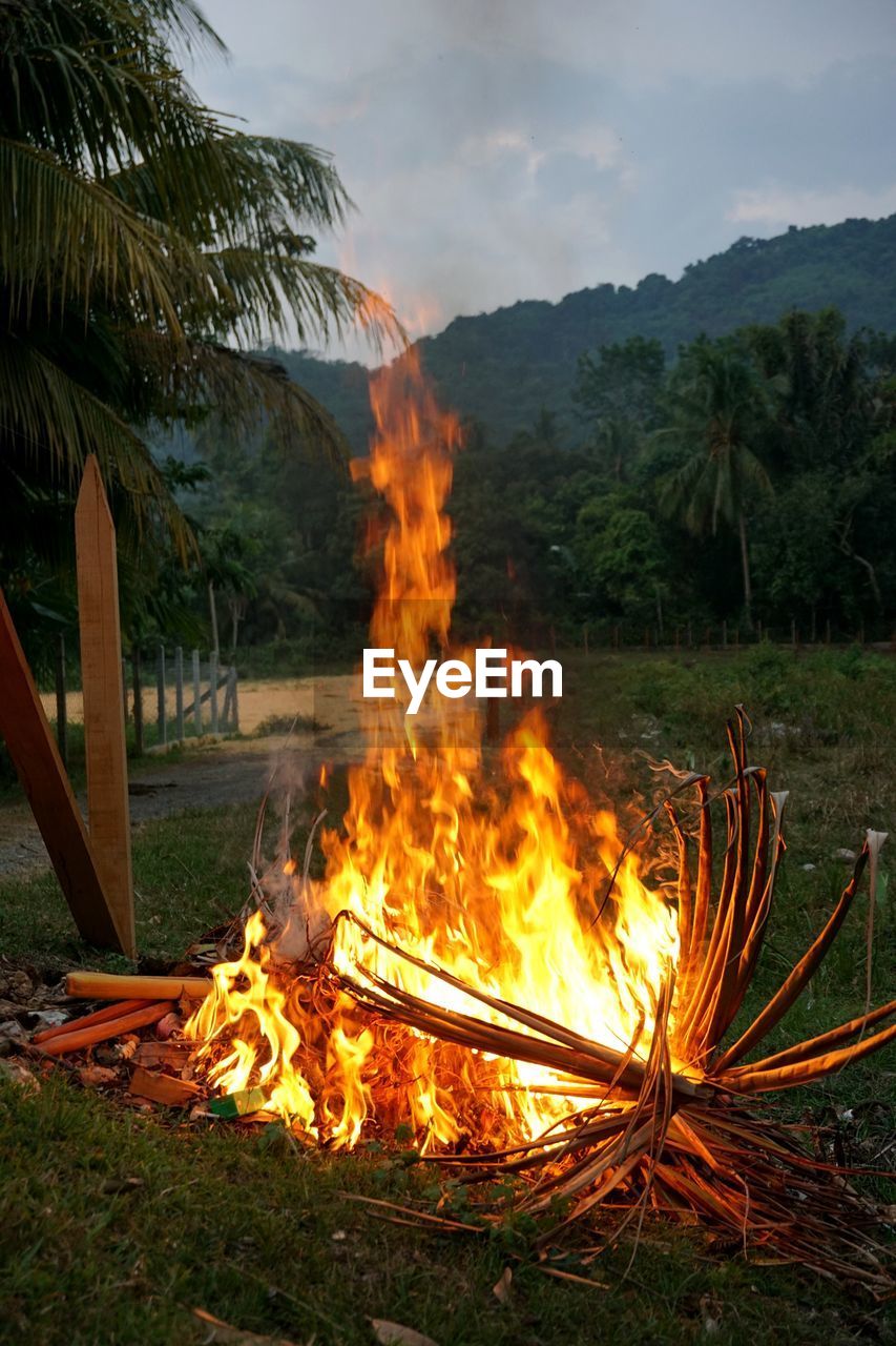 Bonfire on land against trees and mountains