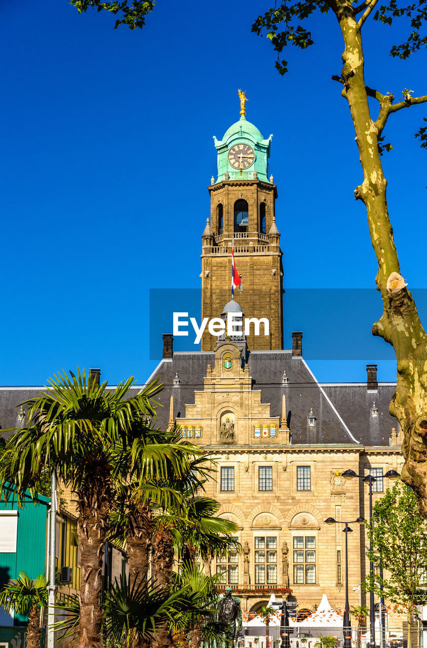 LOW ANGLE VIEW OF PALM TREES AND BUILDING AGAINST SKY