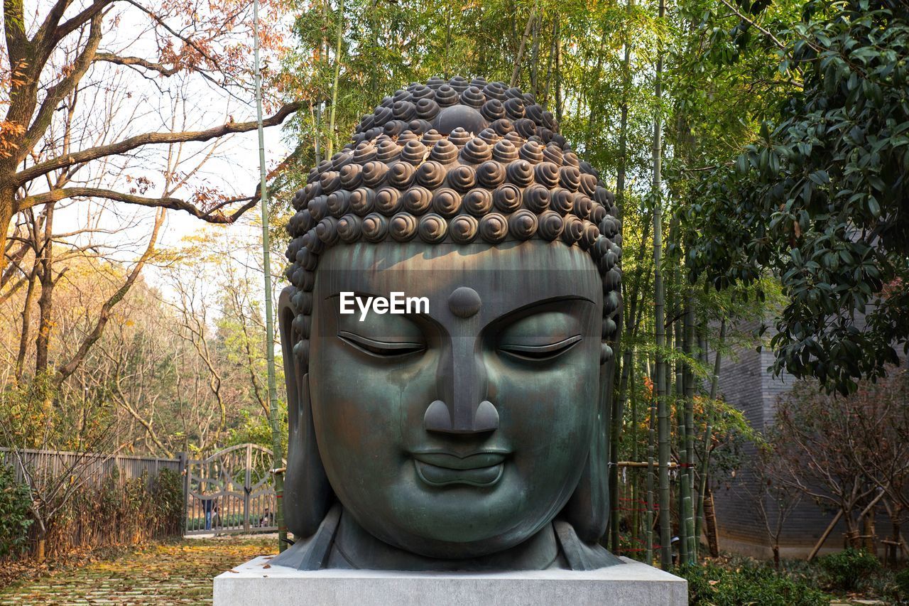 Close-up of buddha statue against trees