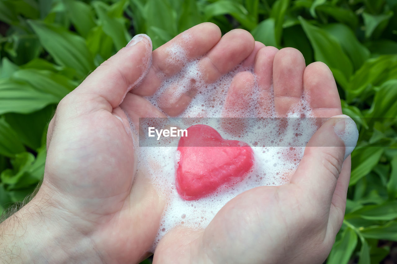 CROPPED IMAGE OF PERSON HOLDING RED LEAF