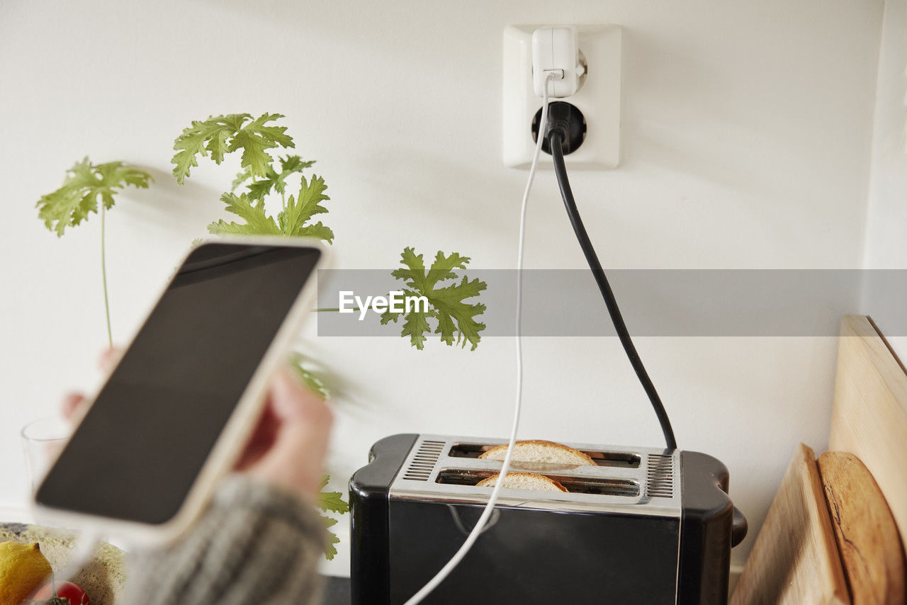 Toaster plugged into an outlet