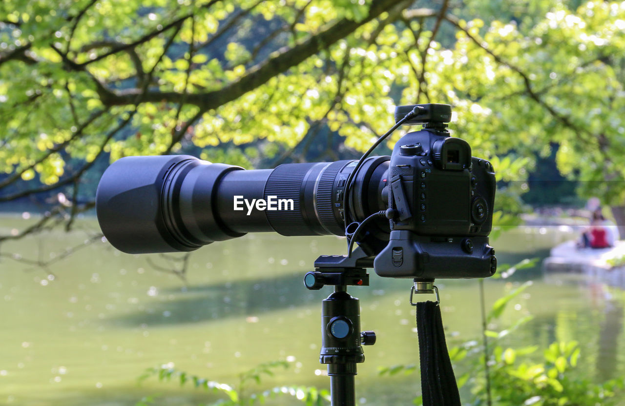 CLOSE-UP OF CAMERA AND TREE