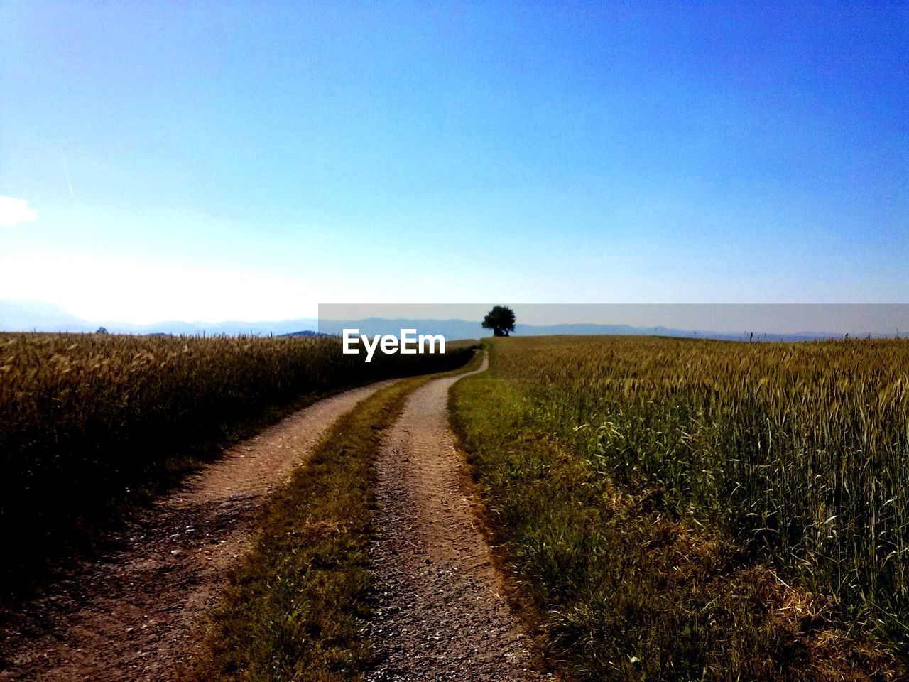 SCENIC VIEW OF FIELD AGAINST CLEAR BLUE SKY