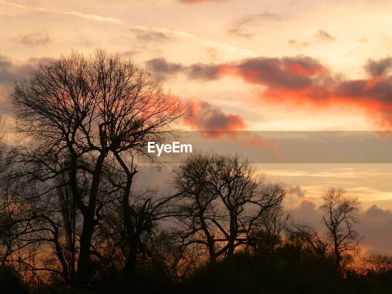 Silhouette of bare tree against cloudy sky