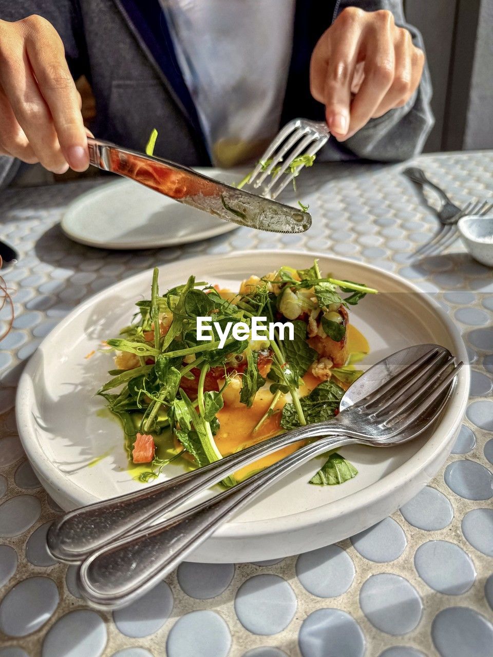 food and drink, food, healthy eating, vegetable, fork, wellbeing, hand, adult, plate, one person, eating utensil, meal, kitchen utensil, salad, freshness, indoors, dish, dinner, table, men, lunch, business, table knife, holding, knife, high angle view, household equipment, tableware, lifestyles, crockery, green, midsection, restaurant, cuisine, herb, eating, produce, women, organic, mature adult