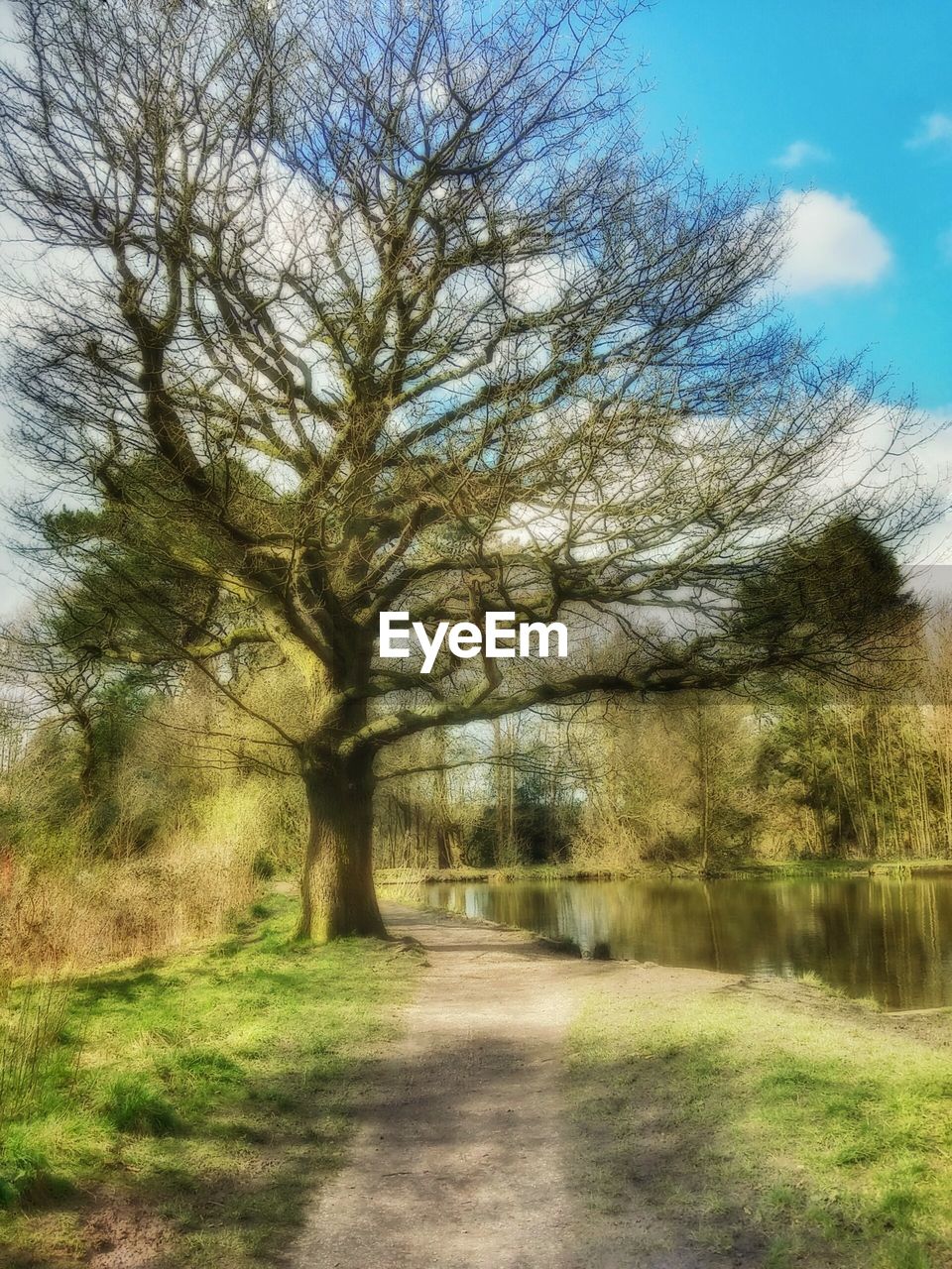 FOOTPATH PASSING THROUGH TREES