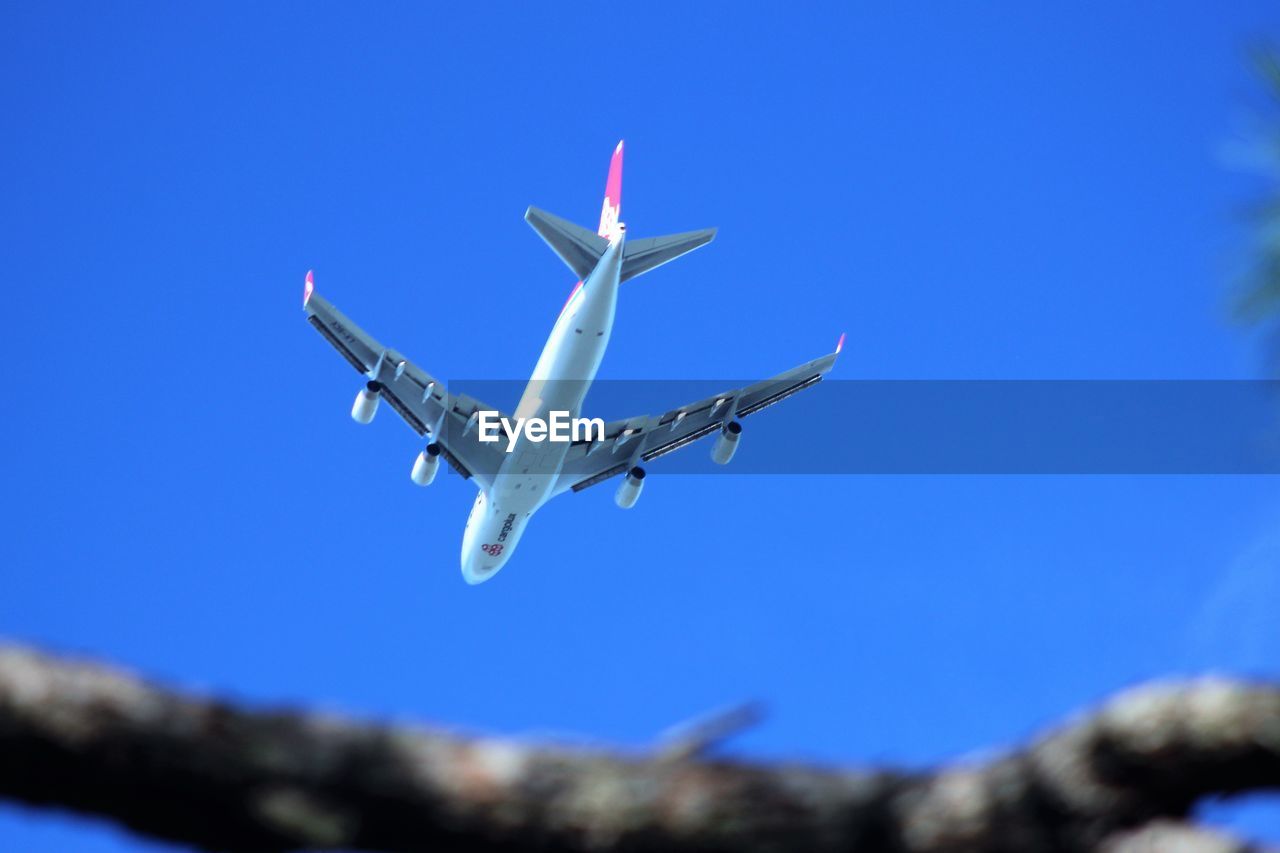 LOW ANGLE VIEW OF AIRPLANE FLYING IN SKY