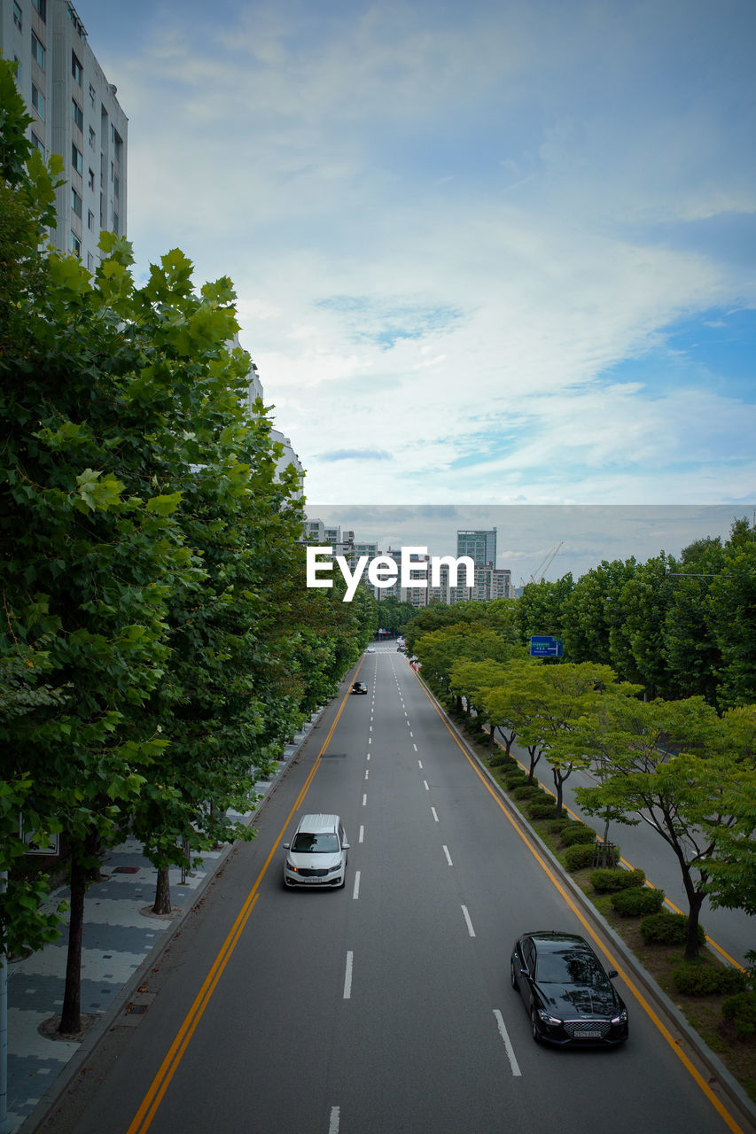 Road amidst trees against sky in city
