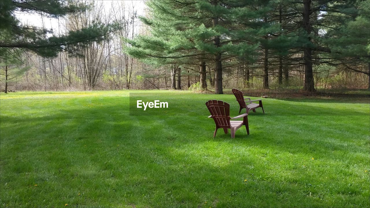 Empty adirondack chairs on grass in park