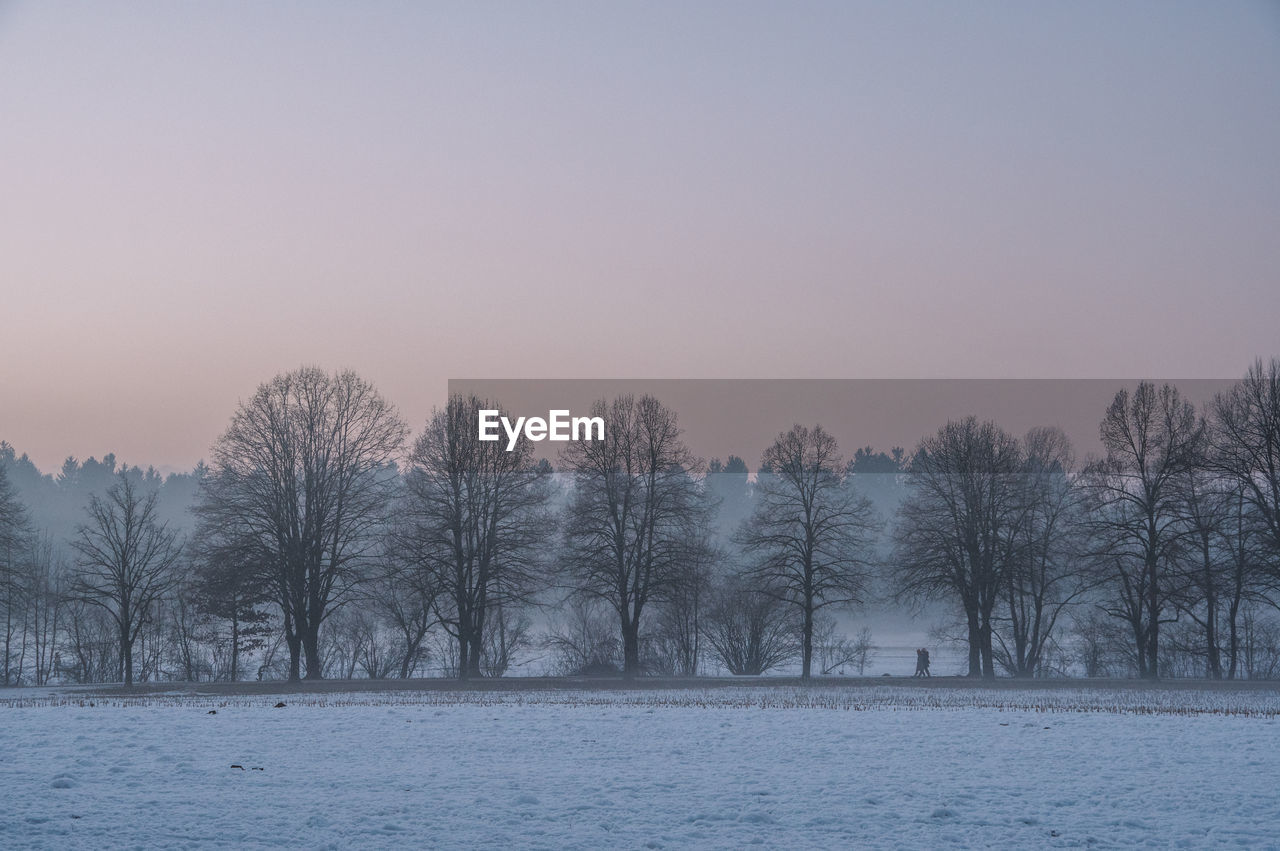 Tree line on snow covered landscape