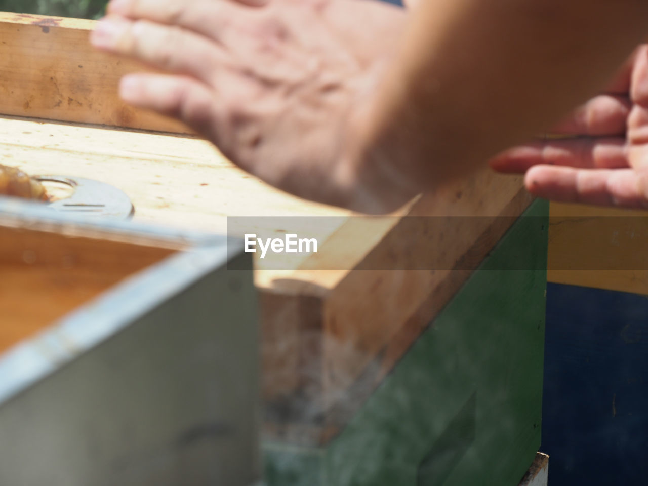 hand, wood, occupation, one person, working, carpentry, skill, carpenter, close-up, craft, indoors, adult, selective focus, work tool, workshop, men, industry, business, craftsperson, holding, workbench, accuracy, creativity, plank, expertise