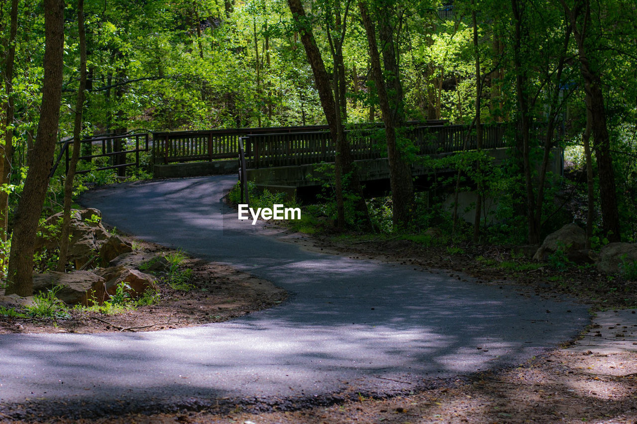 Empty road amidst trees in forest