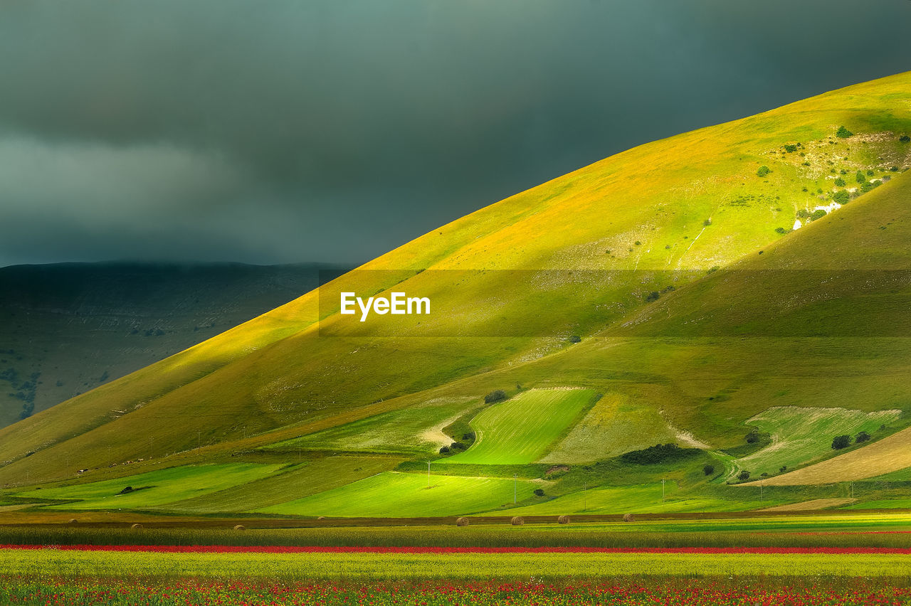 Scenic view of green landscape against sky