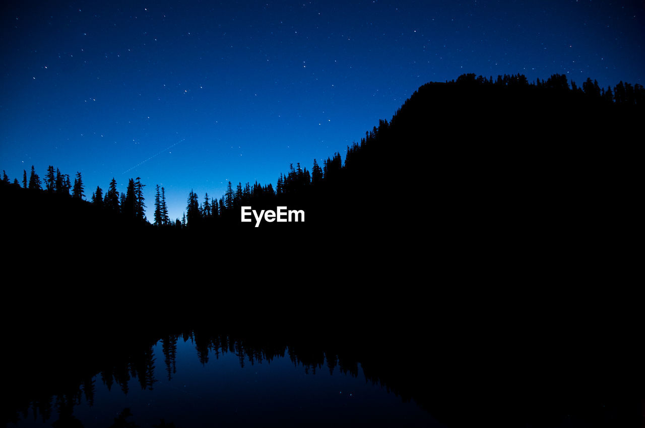 SILHOUETTE TREES IN FOREST AGAINST CLEAR SKY