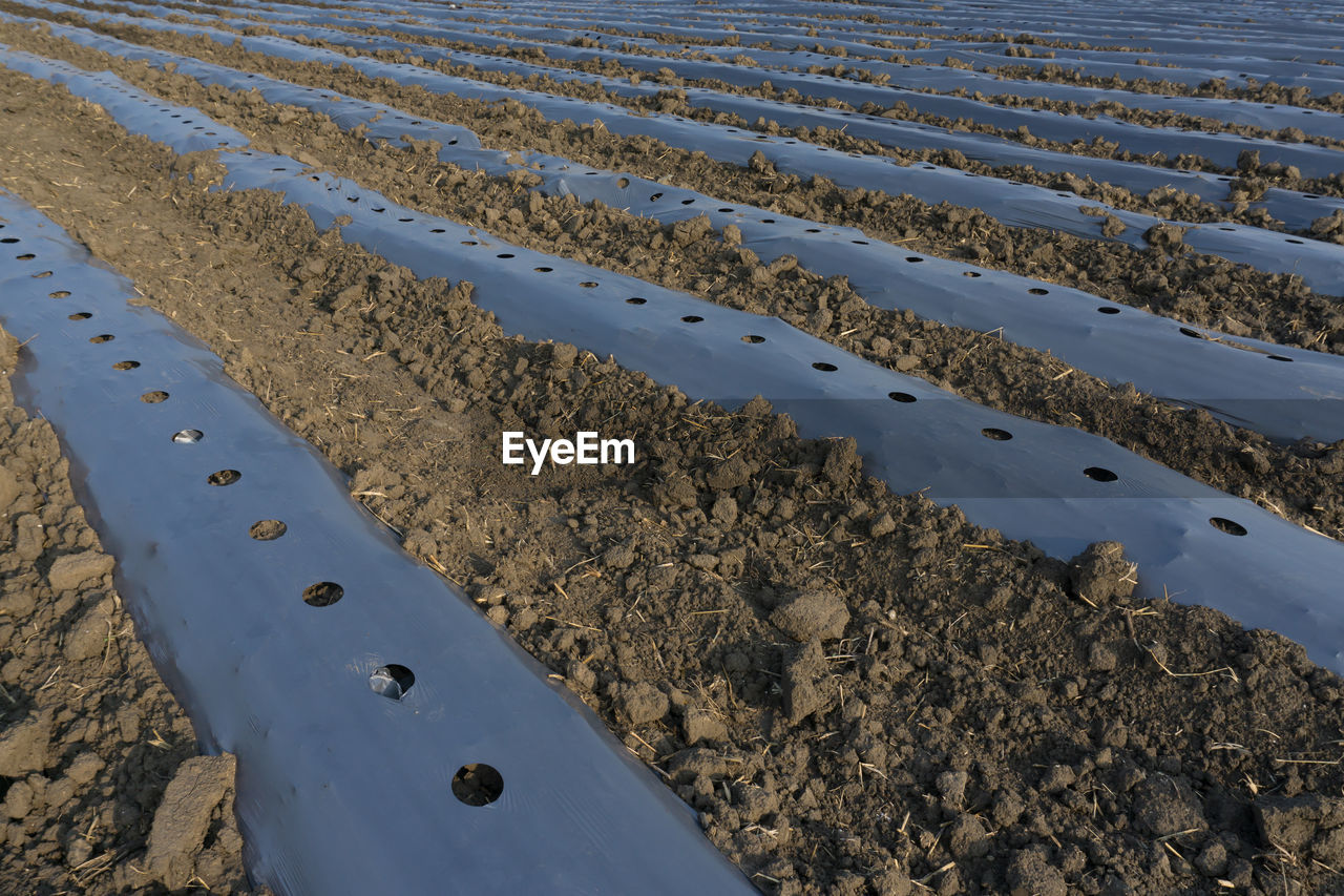 Full frame shot of agricultural field