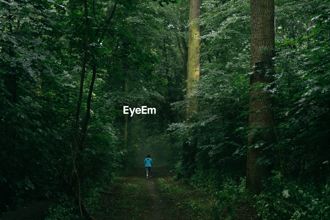 Rear view of man walking in forest