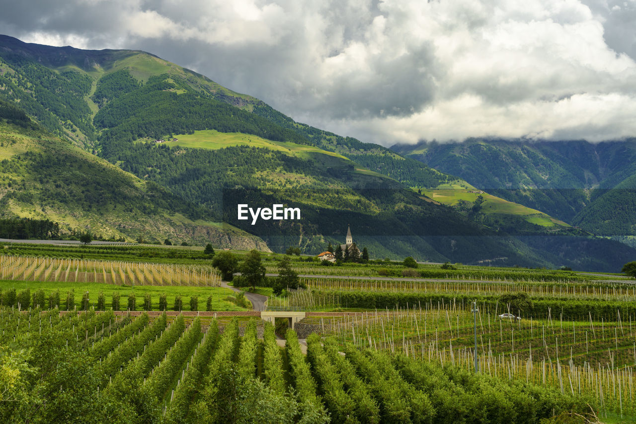 SCENIC VIEW OF AGRICULTURAL LANDSCAPE AGAINST SKY