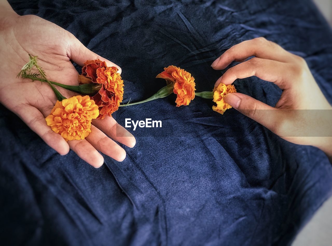 HIGH ANGLE VIEW OF PERSON HOLDING ORANGE