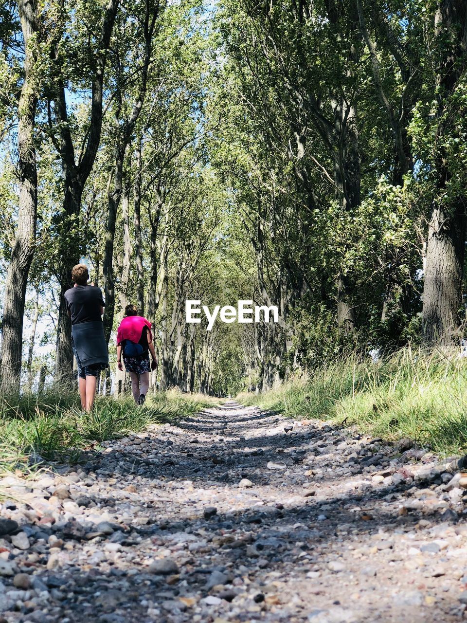 REAR VIEW OF WOMEN WALKING ON FOOTPATH AMIDST TREES IN FOREST