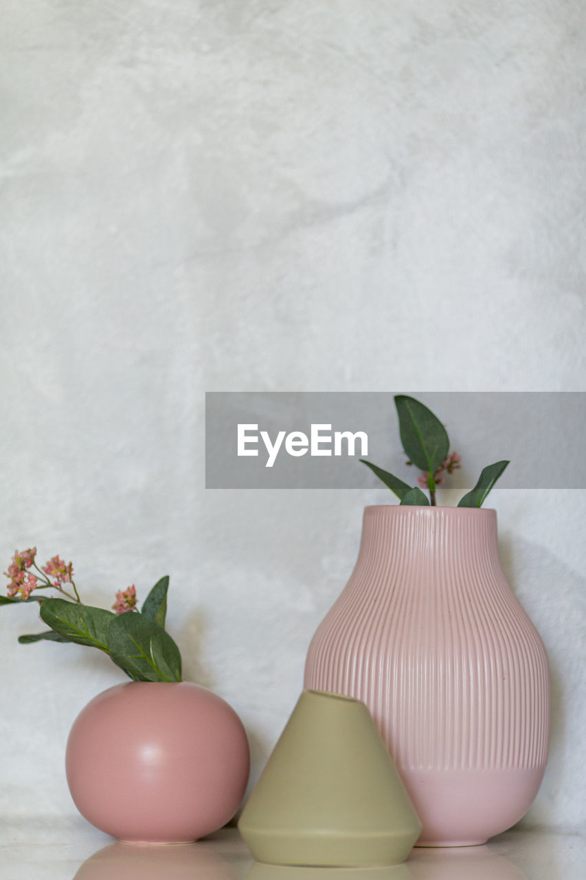 CLOSE-UP OF POTTED PLANT ON WHITE TABLE