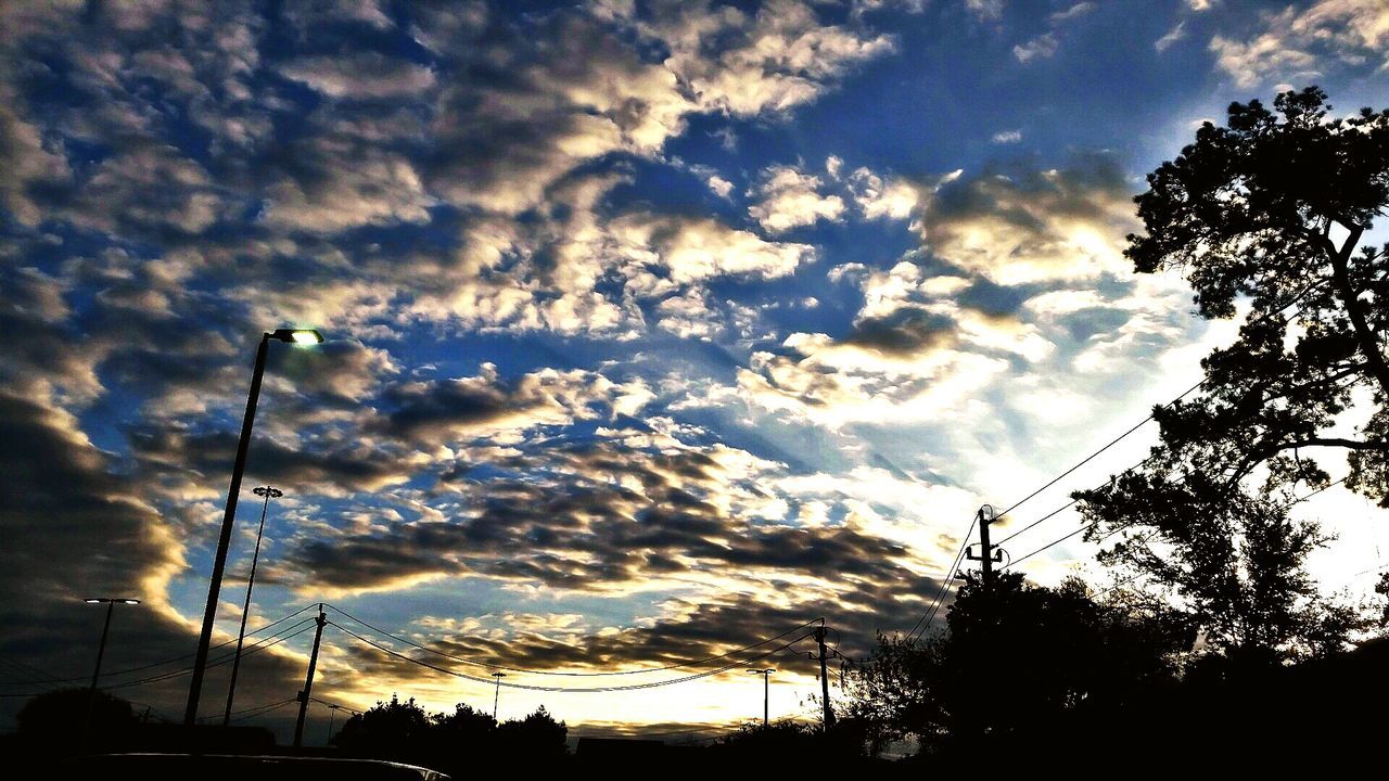 SILHOUETTE OF TREES AGAINST CLOUDY SKY