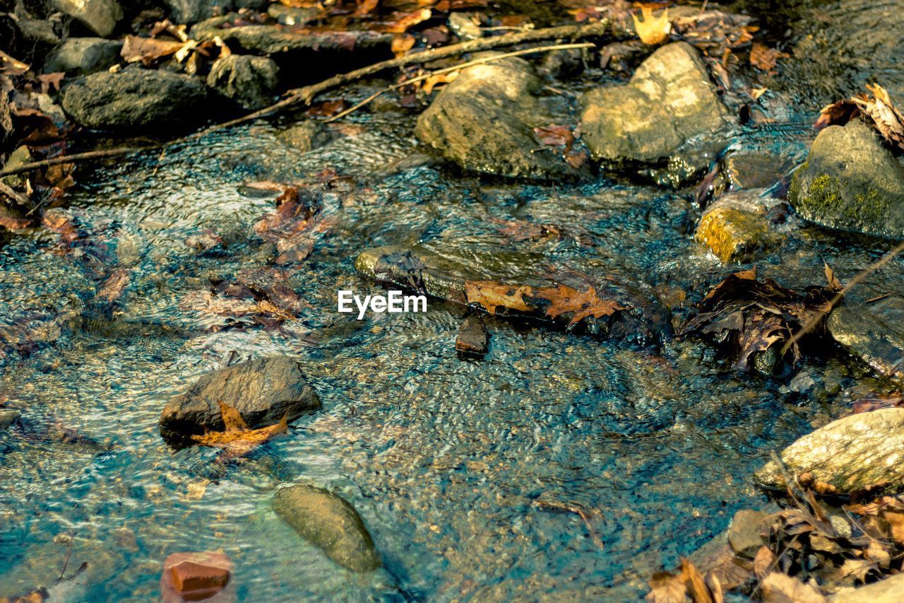 CLOSE-UP HIGH ANGLE VIEW OF WATER IN SHALLOW