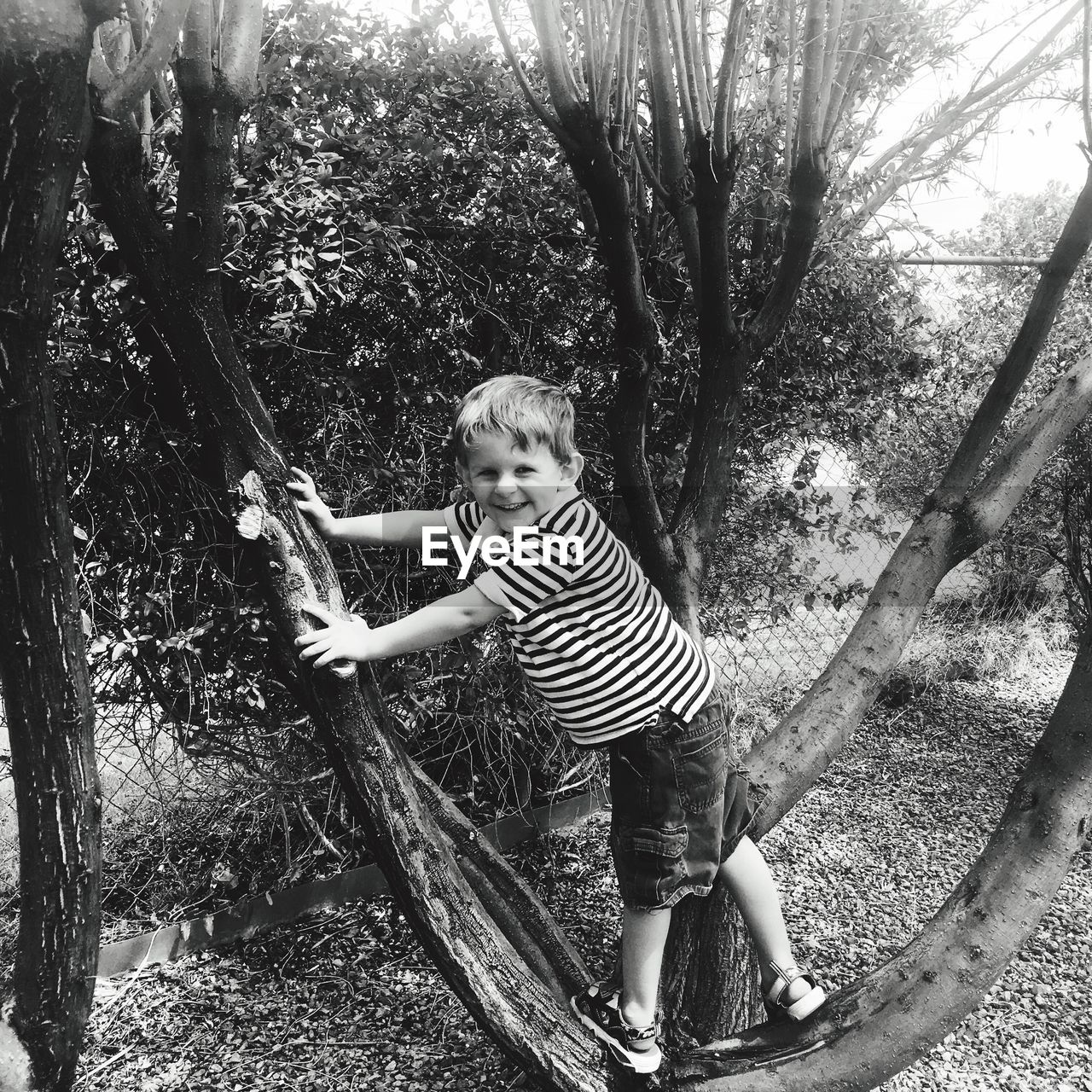 Side view portrait of boy standing on tree in forest