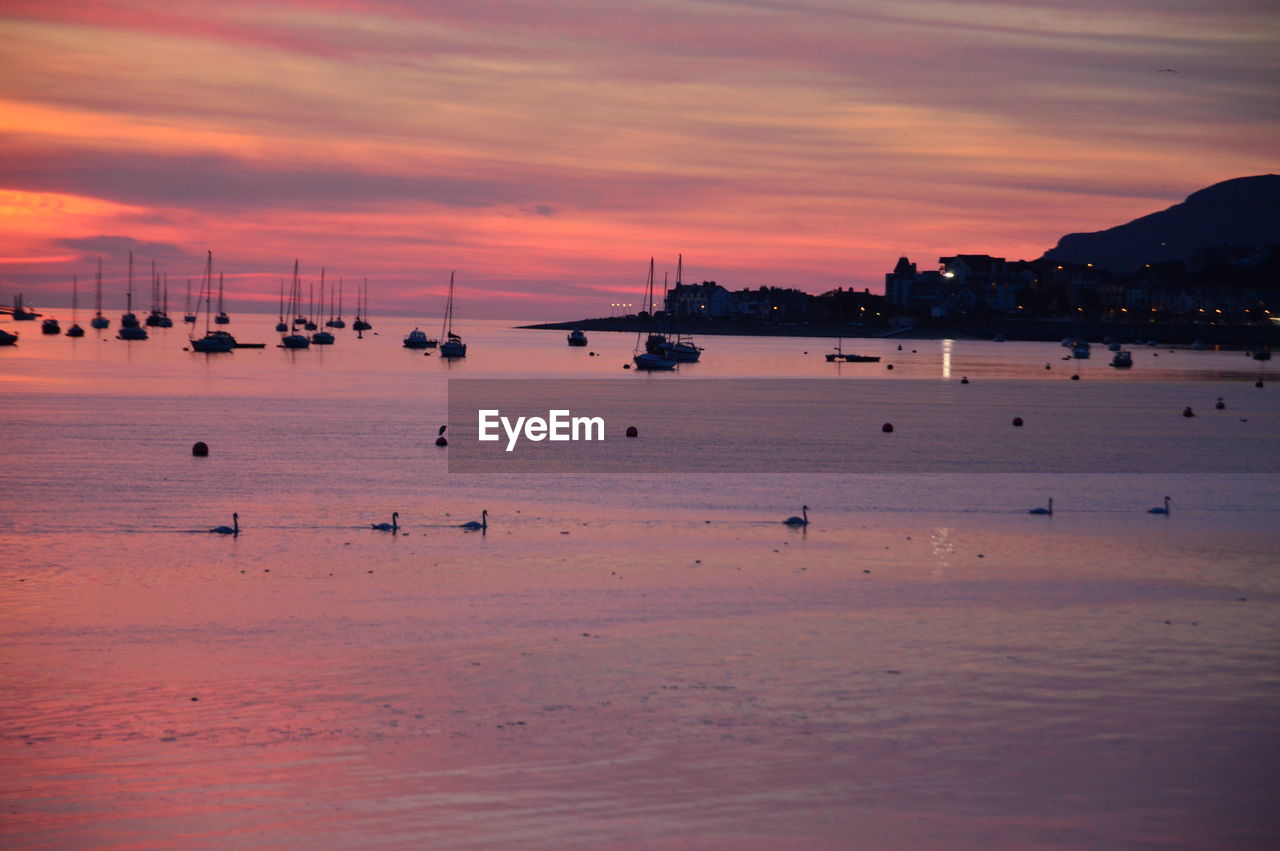 SCENIC VIEW OF SEA DURING SUNSET