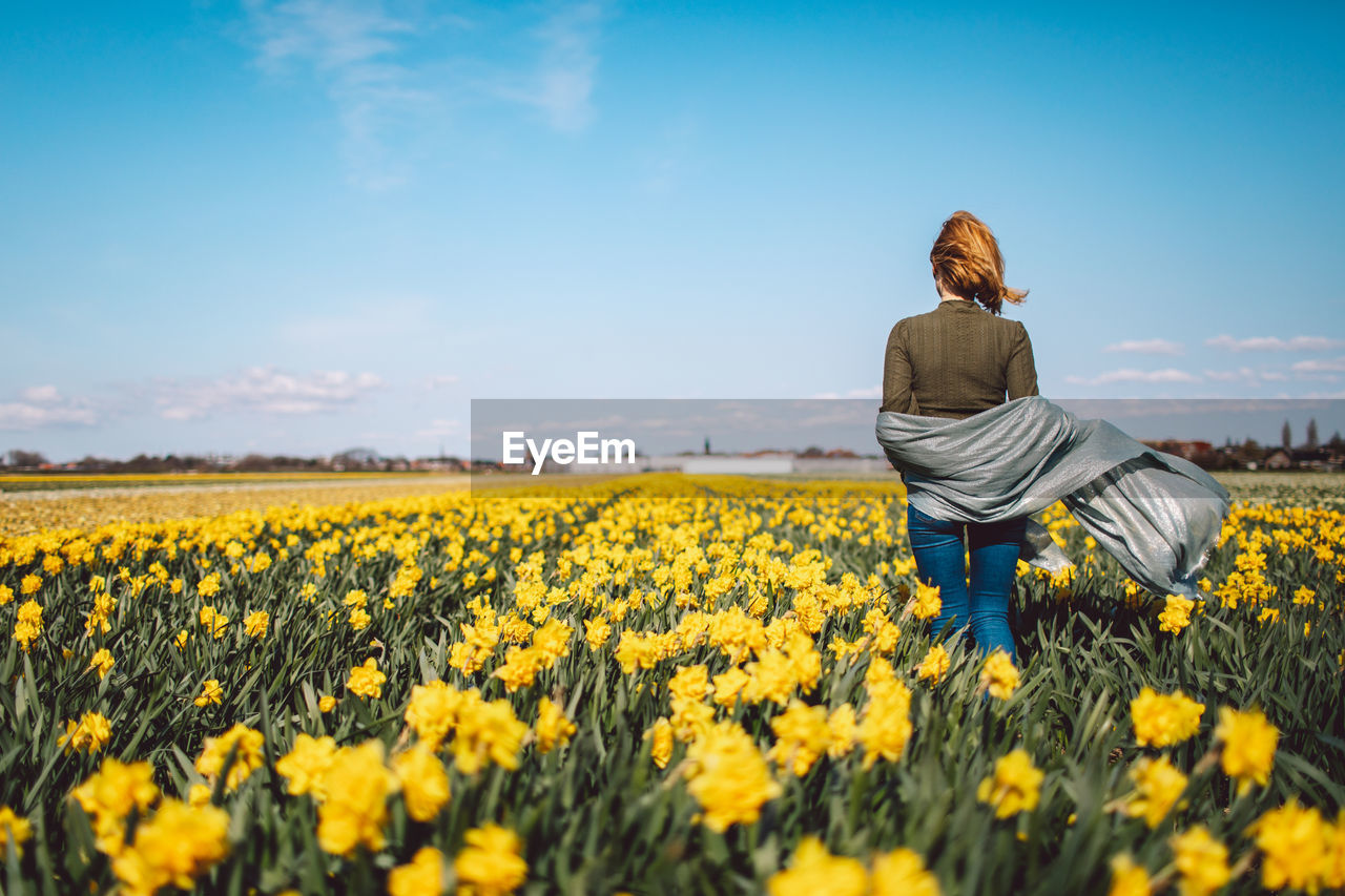 Rear view of woman with yellow flowers in field