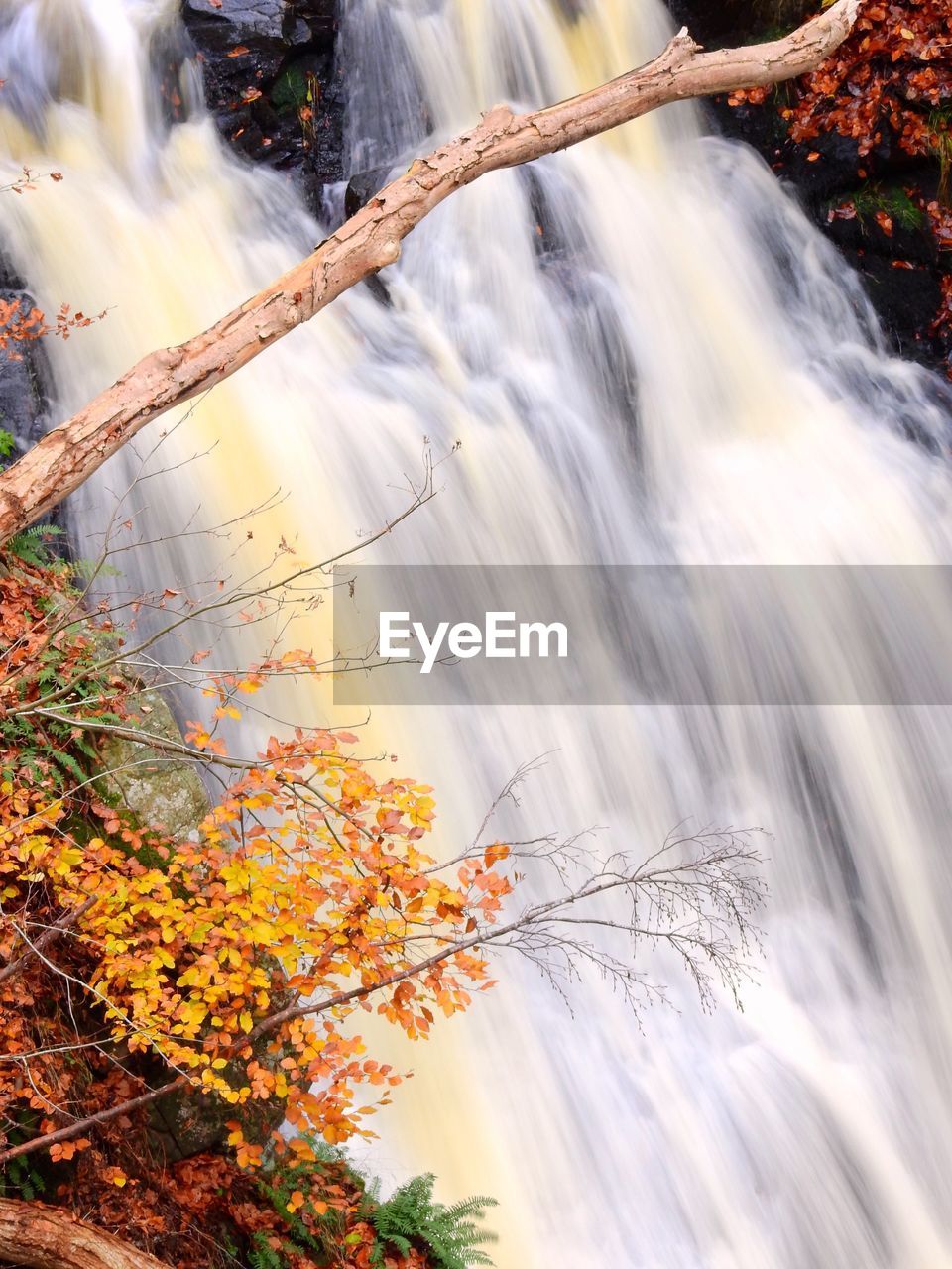 SCENIC VIEW OF WATERFALL