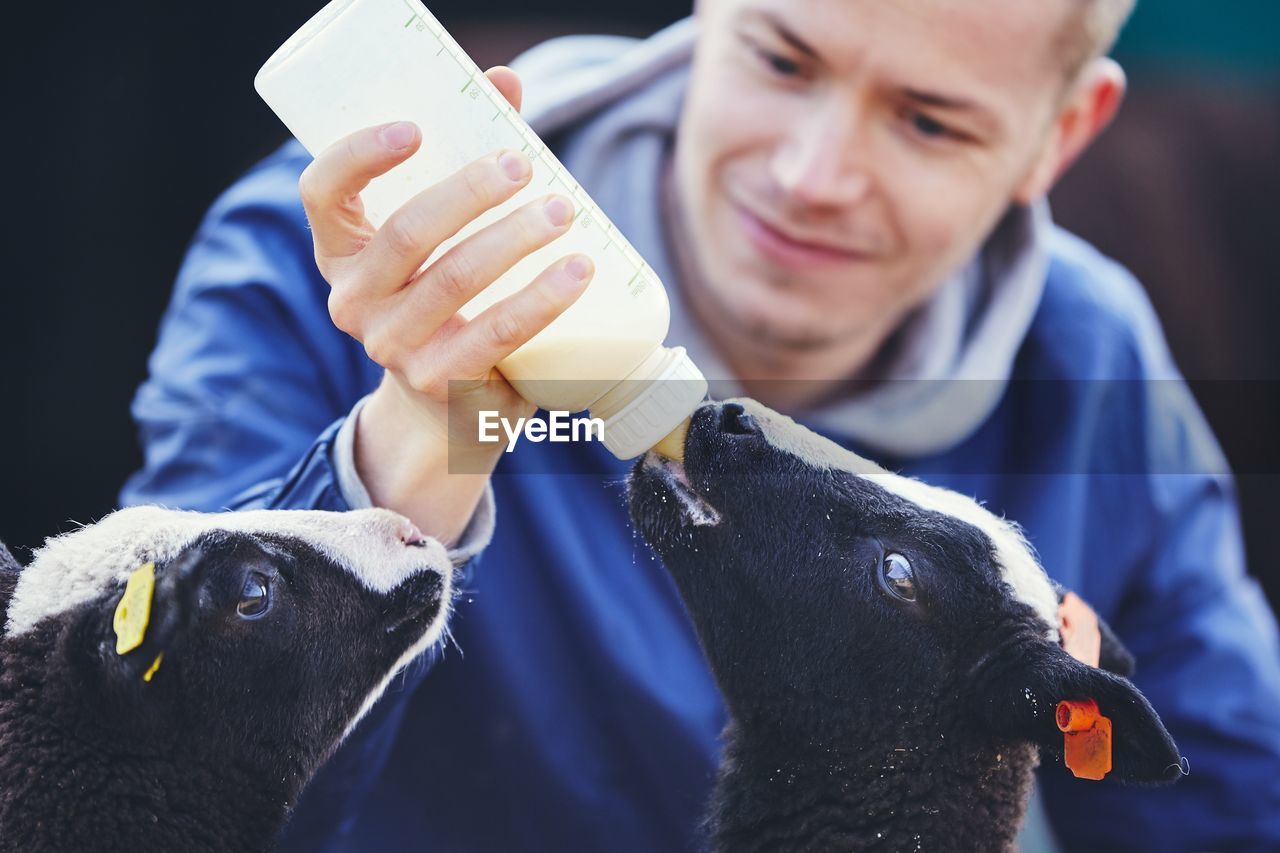 Smiling mid adult man feeding milk to lambs