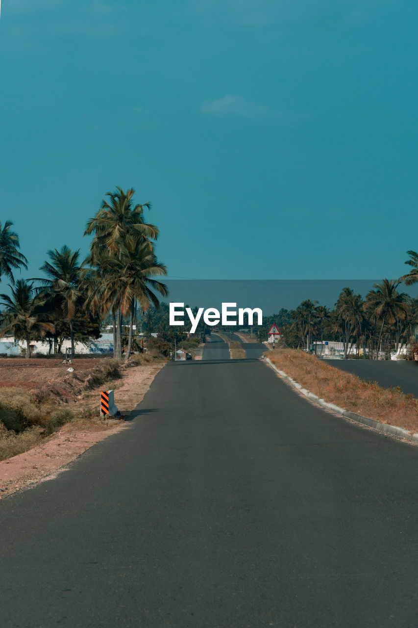 Road by palm trees against sky