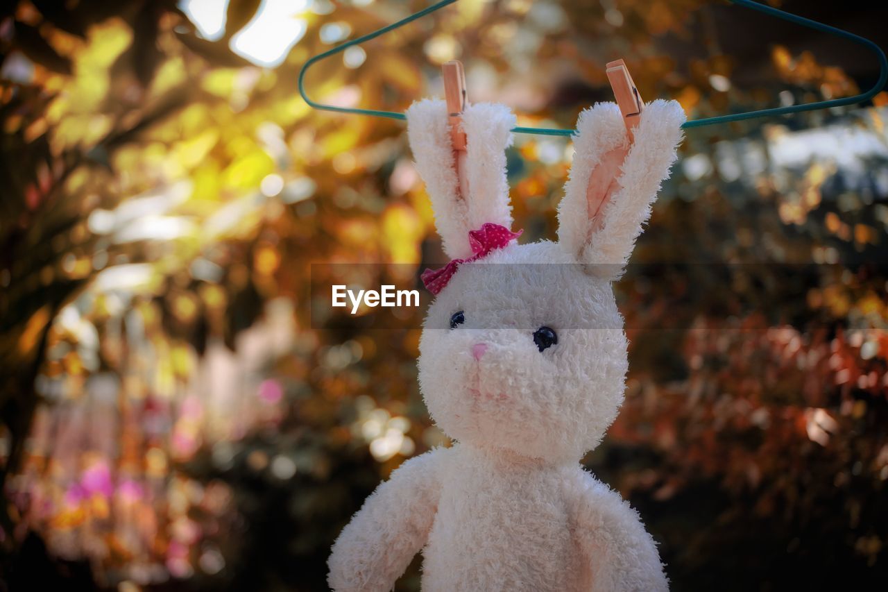 Close-up of stuffed toy hanging outdoors