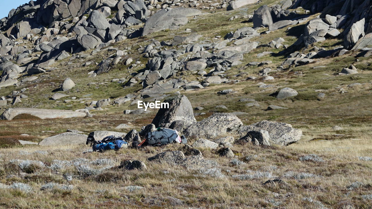 HAY BALES ON ROCKS ON FIELD