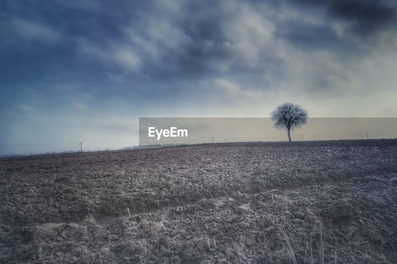 FIELD AGAINST SKY