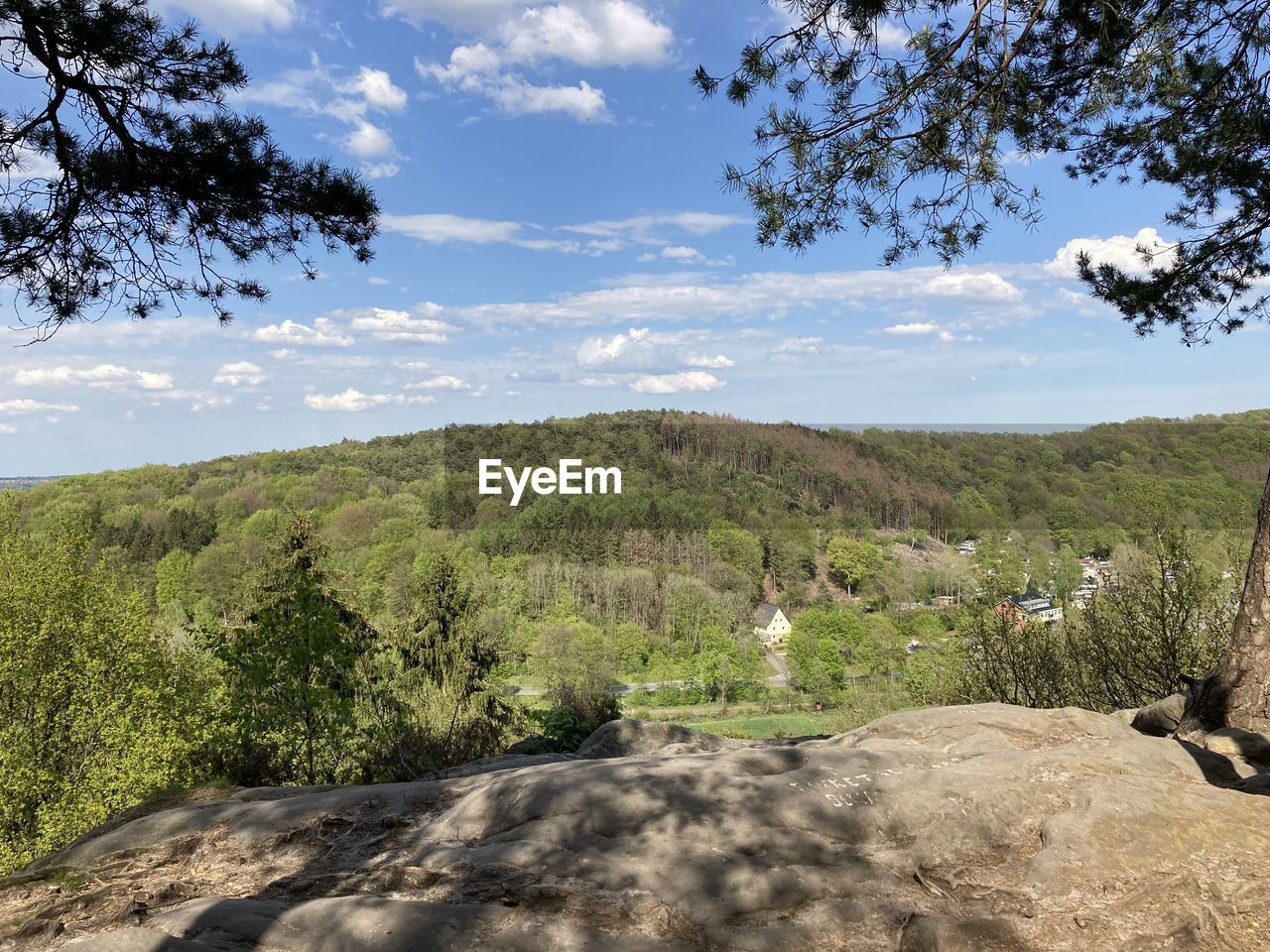 SCENIC VIEW OF TREES AND LANDSCAPE AGAINST SKY