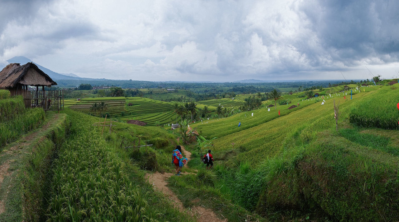 Scenic view of grassy field against cloudy sky