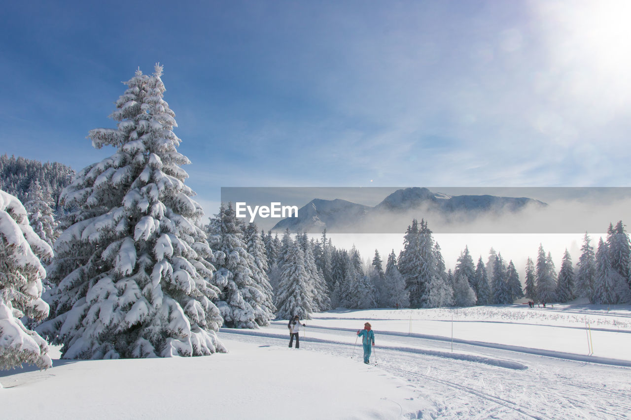 Cross country skiing on a snowy track in the alps in france