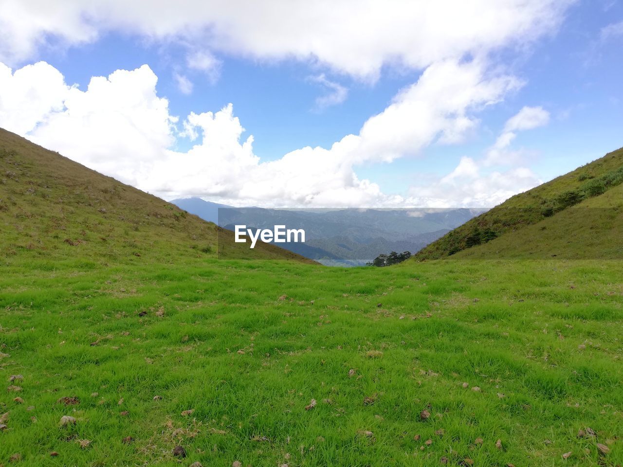 SCENIC VIEW OF GREEN LANDSCAPE AGAINST SKY