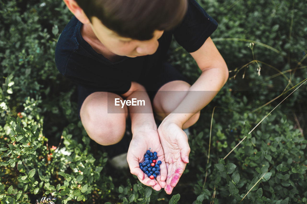 High angle view of baby hand holding berries on field