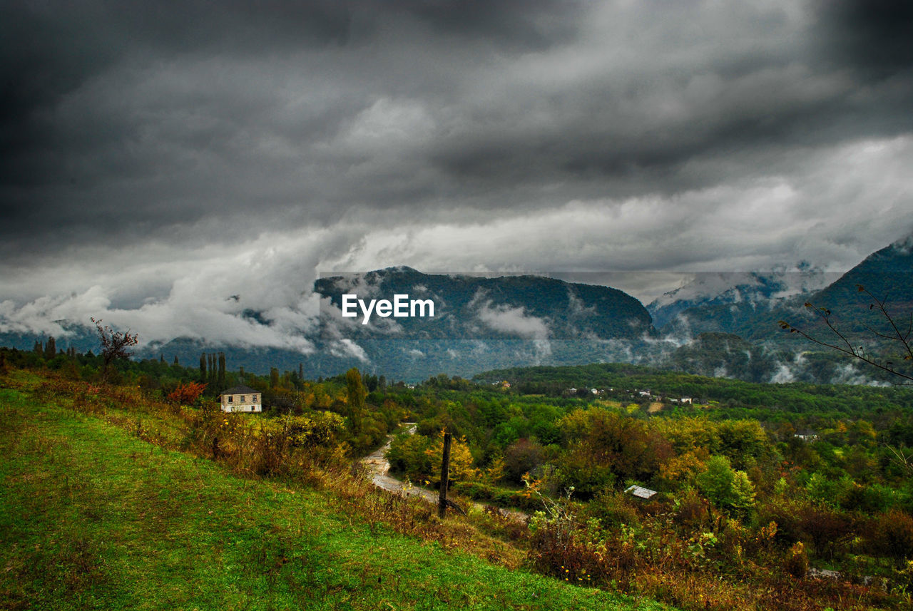 SCENIC VIEW OF RURAL LANDSCAPE