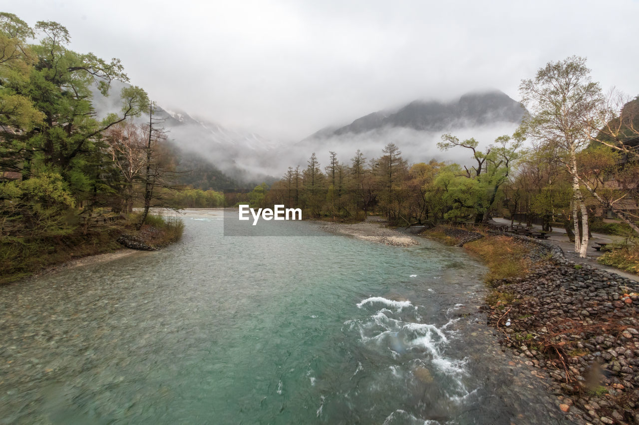 Scenic view of river amidst trees against sky