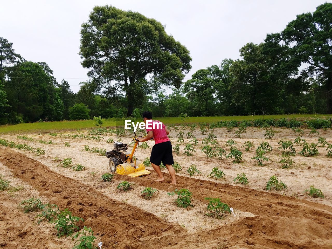 Full length of man working in farm