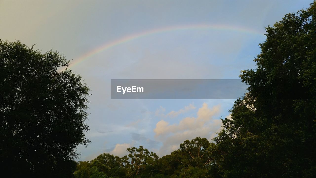 LOW ANGLE VIEW OF RAINBOW AGAINST SKY